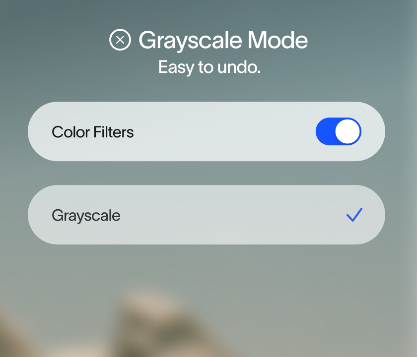 A settings UI menu titled 'Grayscale Mode' with the tagline 'Easy to undo.' It features two menu options: 'Color Filters' with an enabled blue toggle switch, and 'Grayscale' with a blue checkmark next to it.